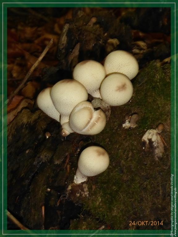 Philosophische Bildwanderung Hiwweltour-Eichelberg