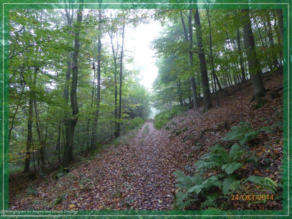 Philosophische Bildwanderung Hiwweltour-Eichelberg