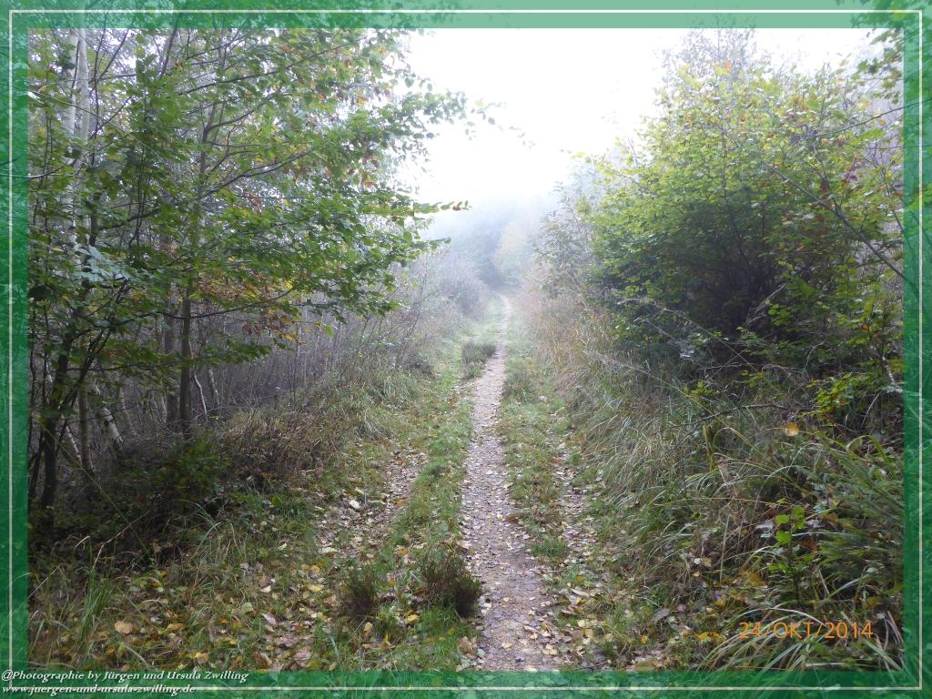 Philosophische Bildwanderung Hiwweltour-Eichelberg