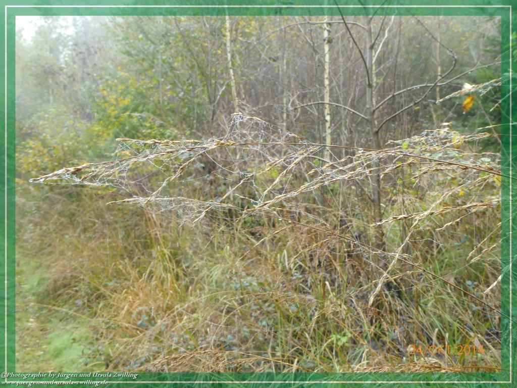 Philosophische Bildwanderung Hiwweltour-Eichelberg