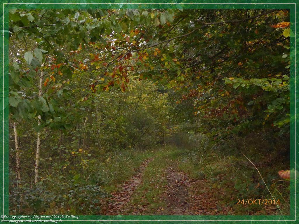 Philosophische Bildwanderung Hiwweltour-Eichelberg