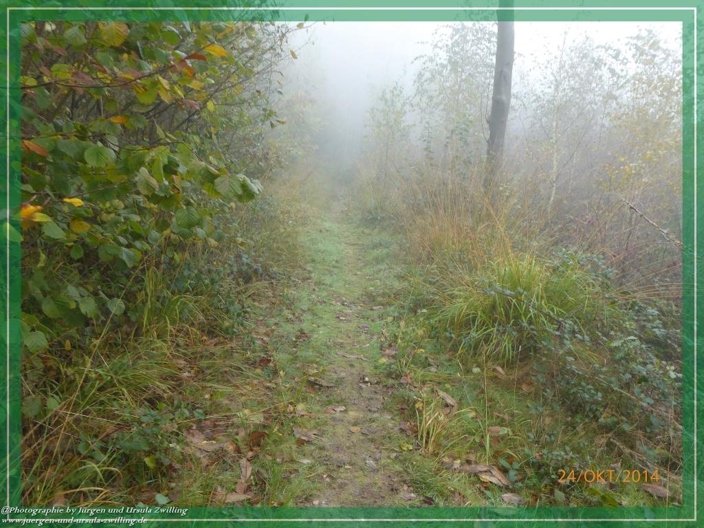 Philosophische Bildwanderung Hiwweltour-Eichelberg