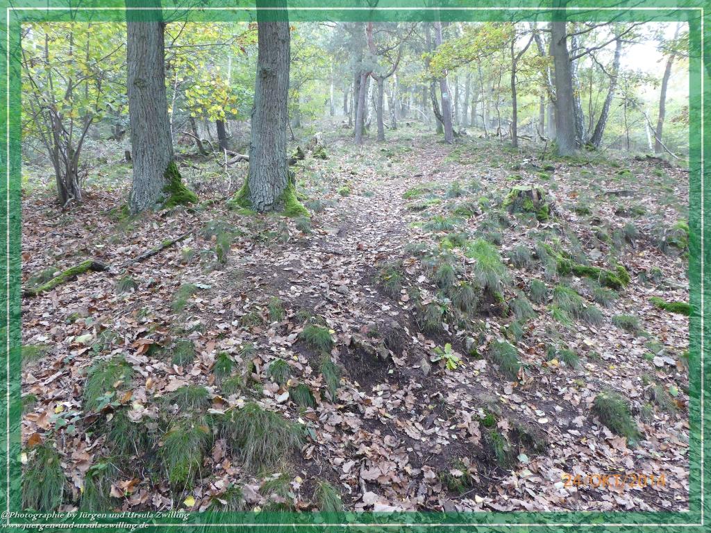 Philosophische Bildwanderung Hiwweltour-Eichelberg