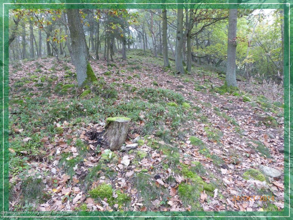 Philosophische Bildwanderung Hiwweltour-Eichelberg