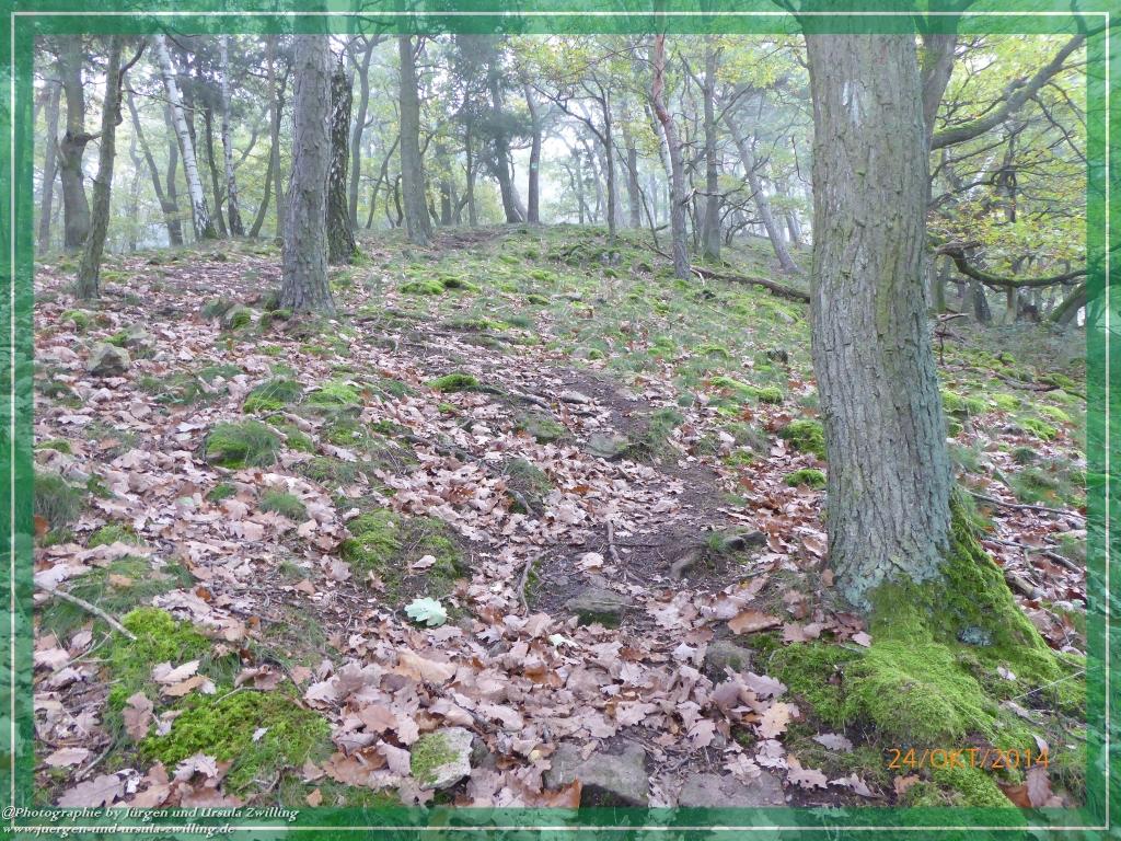 Philosophische Bildwanderung Hiwweltour-Eichelberg