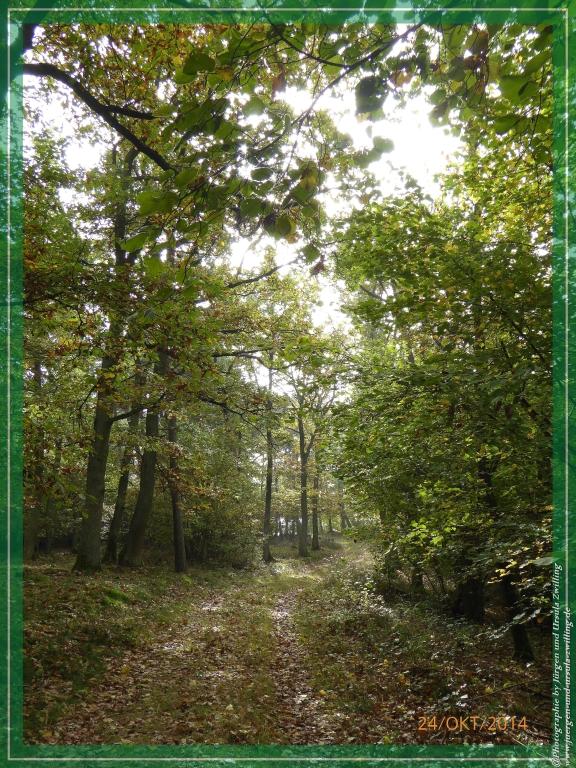 Philosophische Bildwanderung Hiwweltour-Eichelberg