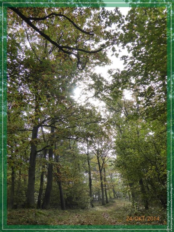 Philosophische Bildwanderung Hiwweltour-Eichelberg