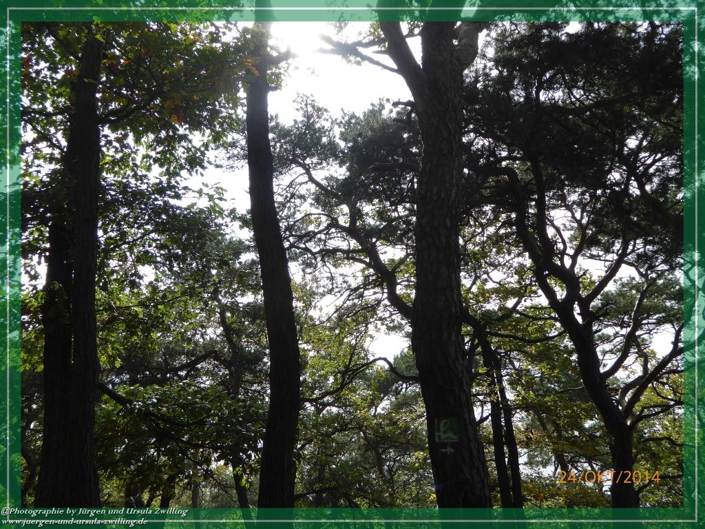 Philosophische Bildwanderung Hiwweltour-Eichelberg