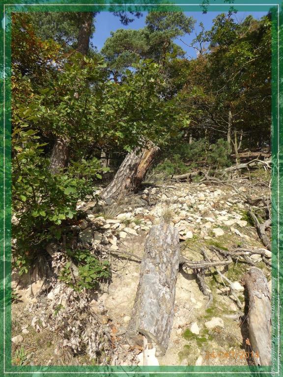 Philosophische Bildwanderung Hiwweltour-Eichelberg