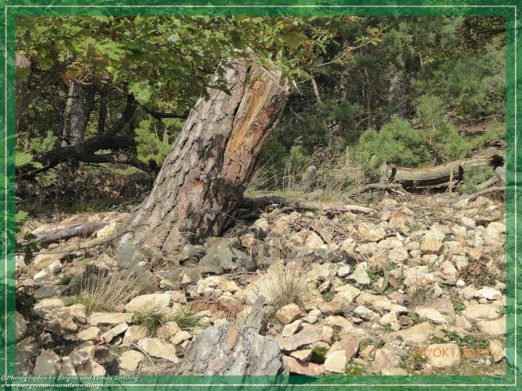 Philosophische Bildwanderung Hiwweltour-Eichelberg