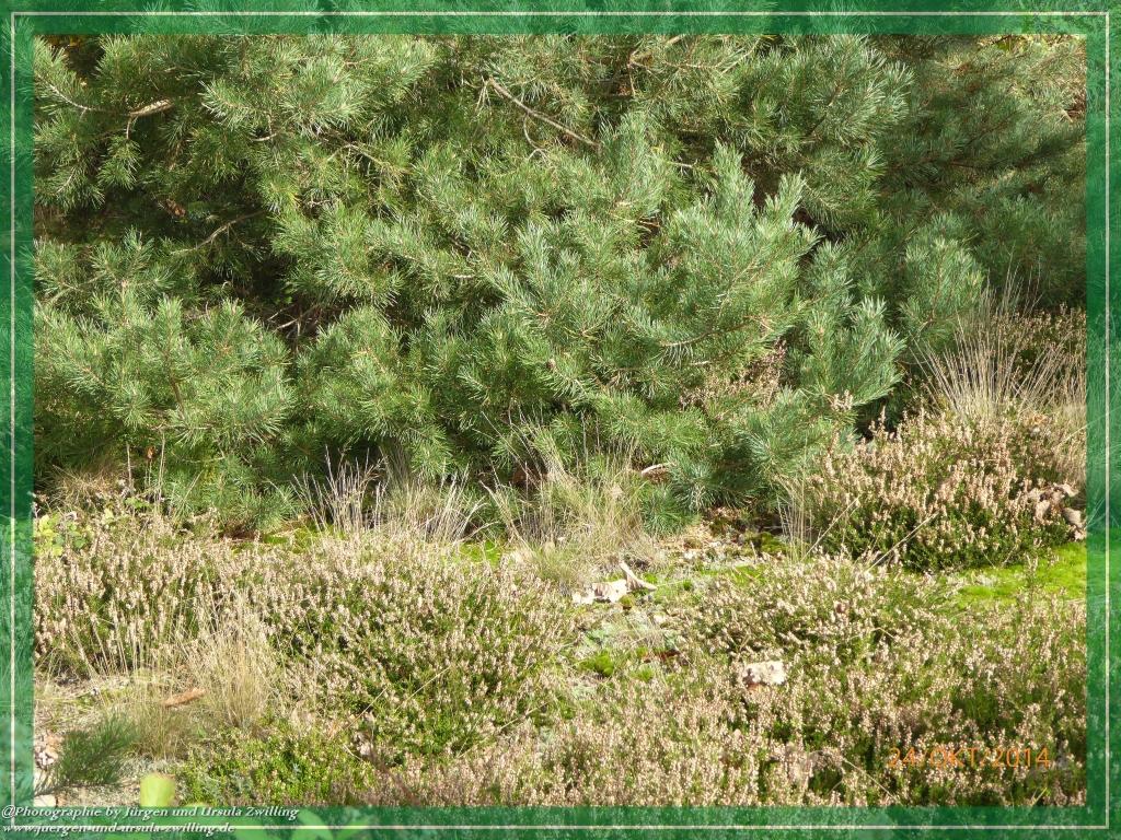 Philosophische Bildwanderung Hiwweltour-Eichelberg