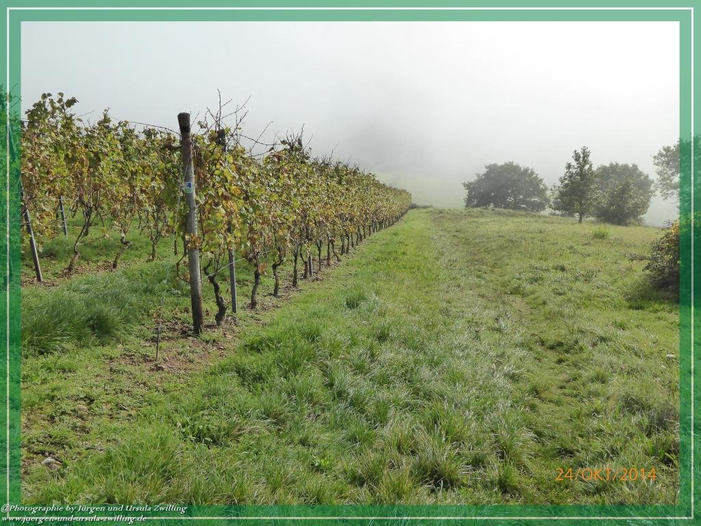 Philosophische Bildwanderung Hiwweltour-Eichelberg
