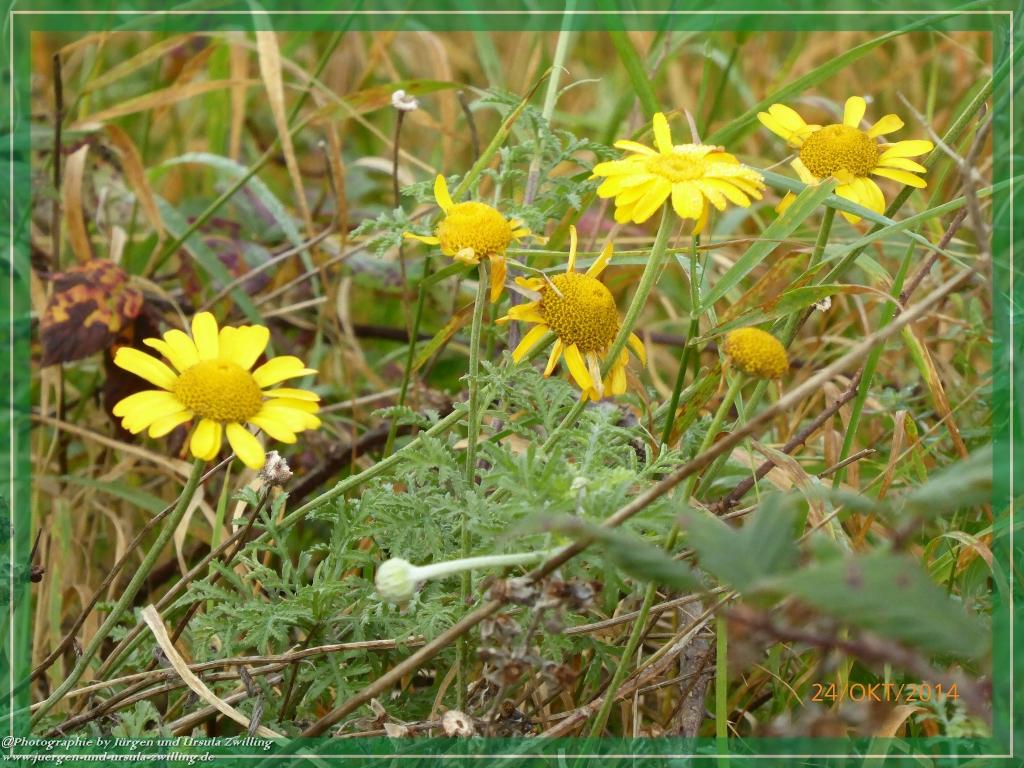 Philosophische Bildwanderung Hiwweltour-Eichelberg
