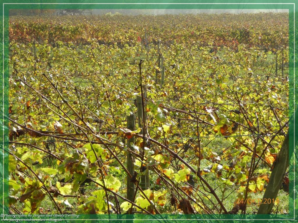 Philosophische Bildwanderung Hiwweltour-Eichelberg