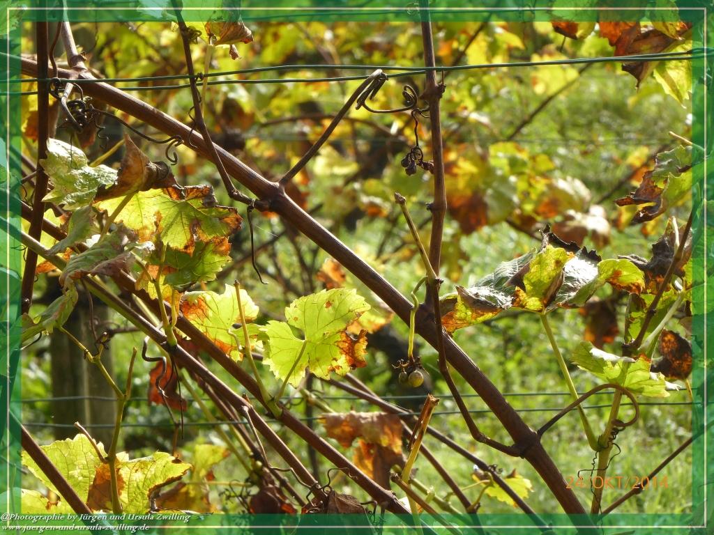 Philosophische Bildwanderung Hiwweltour-Eichelberg