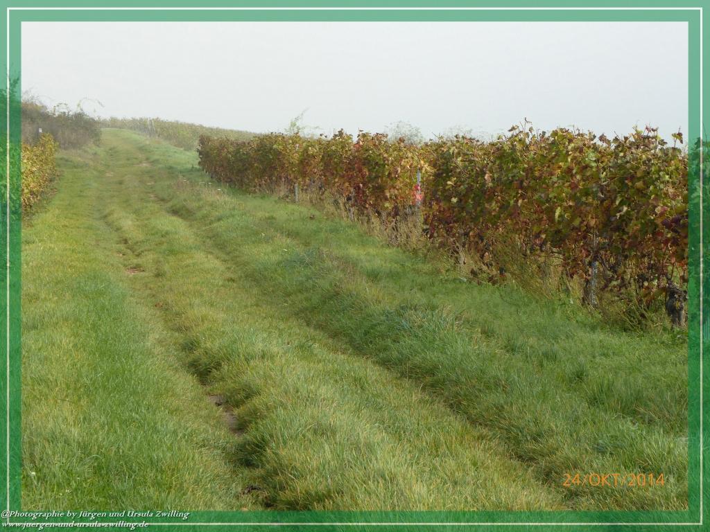 Philosophische Bildwanderung Hiwweltour-Eichelberg