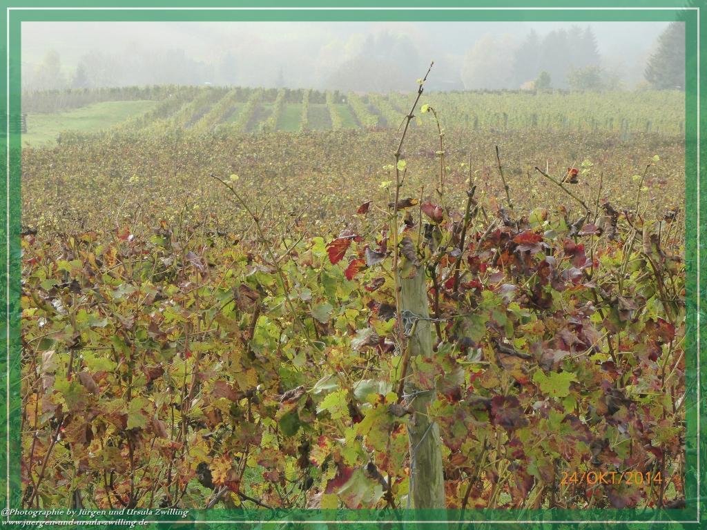 Philosophische Bildwanderung Hiwweltour-Eichelberg