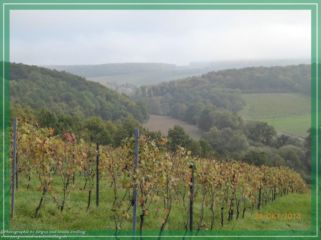Philosophische Bildwanderung Hiwweltour-Eichelberg