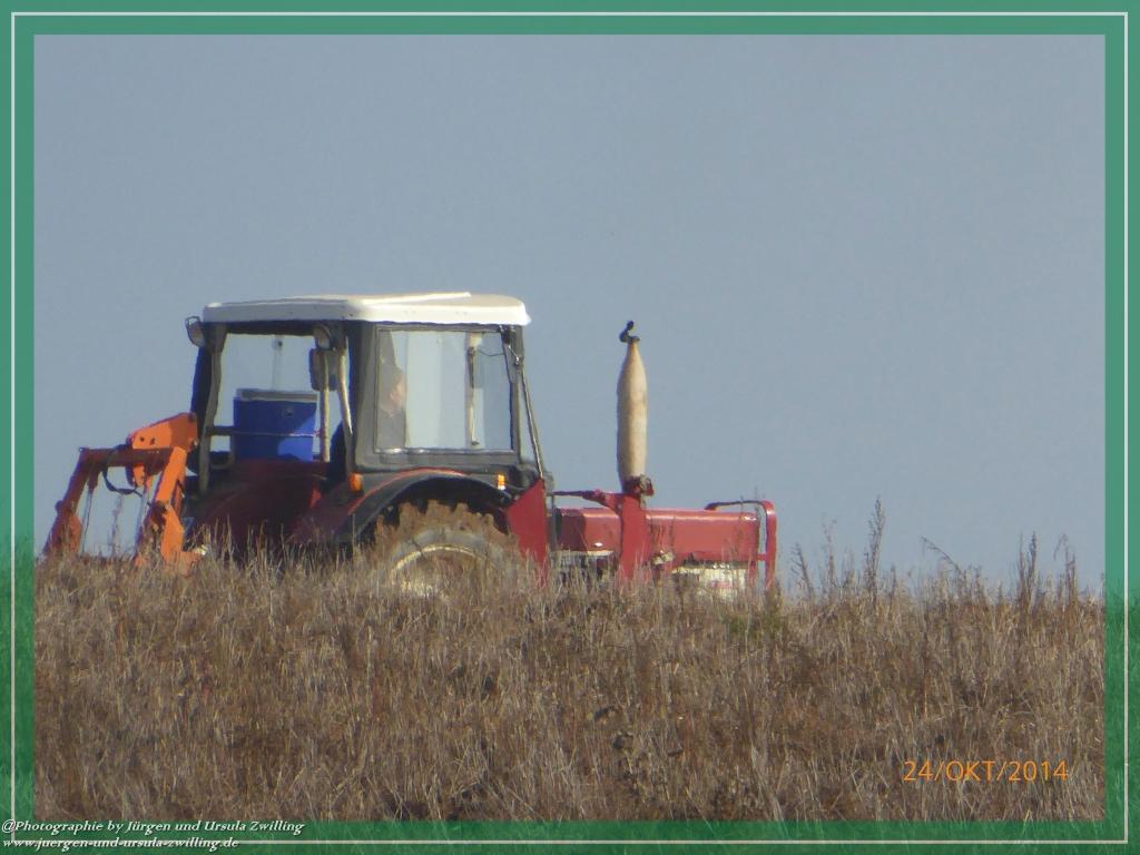 Philosophische Bildwanderung Hiwweltour-Eichelberg