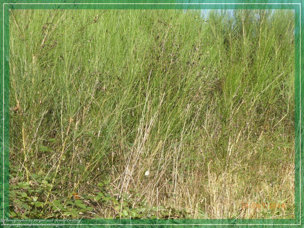 Philosophische Bildwanderung Hiwweltour-Eichelberg