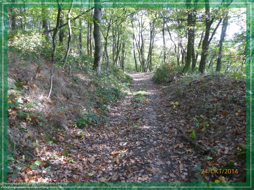 Philosophische Bildwanderung Hiwweltour-Eichelberg