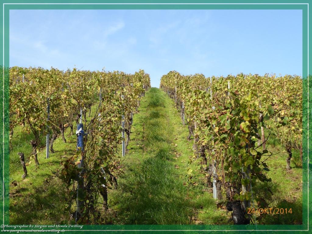 Philosophische Bildwanderung Hiwweltour-Eichelberg