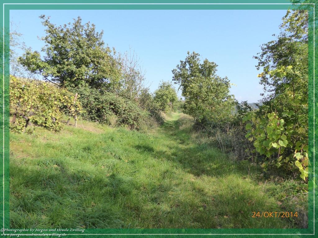 Philosophische Bildwanderung Hiwweltour-Eichelberg