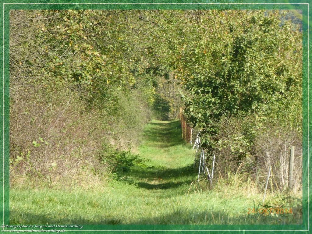 Philosophische Bildwanderung Hiwweltour-Eichelberg