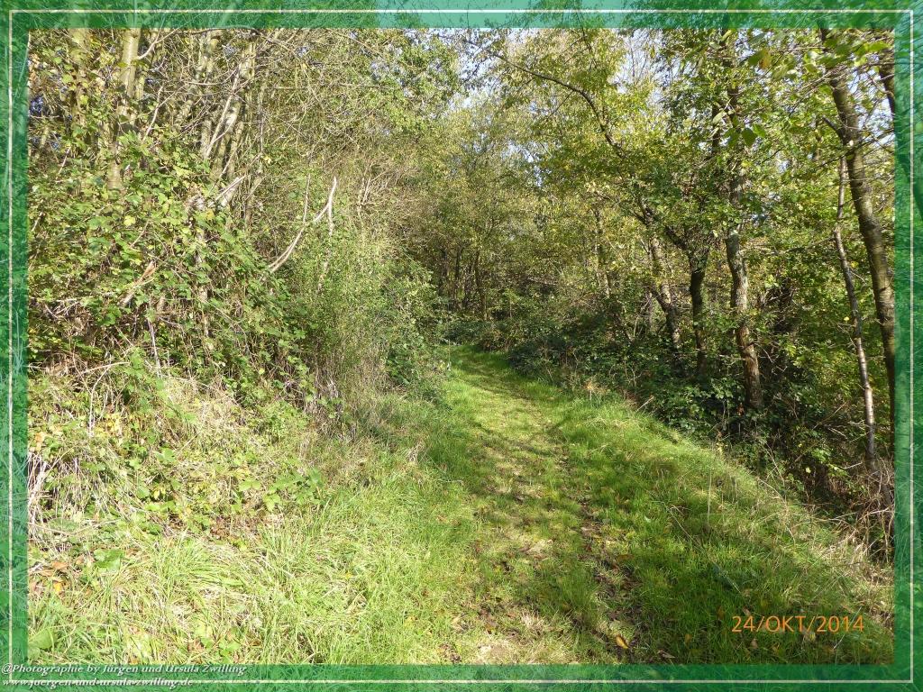 Philosophische Bildwanderung Hiwweltour-Eichelberg