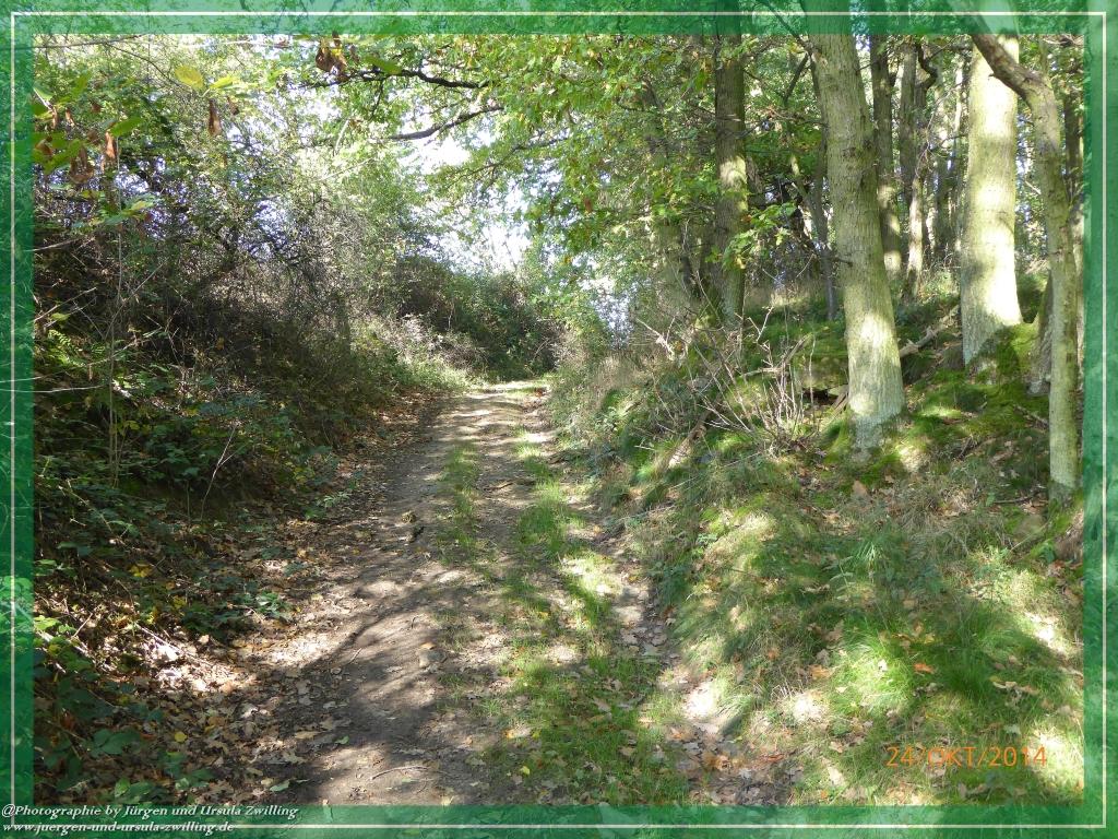 Philosophische Bildwanderung Hiwweltour-Eichelberg