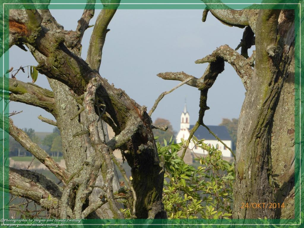 Philosophische Bildwanderung Hiwweltour-Eichelberg