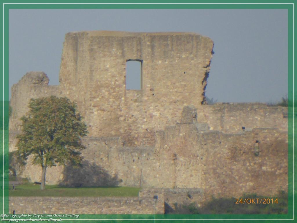 Philosophische Bildwanderung Hiwweltour-Eichelberg