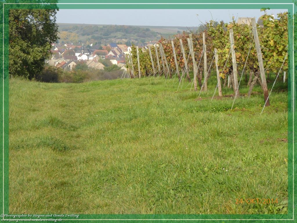 Philosophische Bildwanderung Hiwweltour-Eichelberg