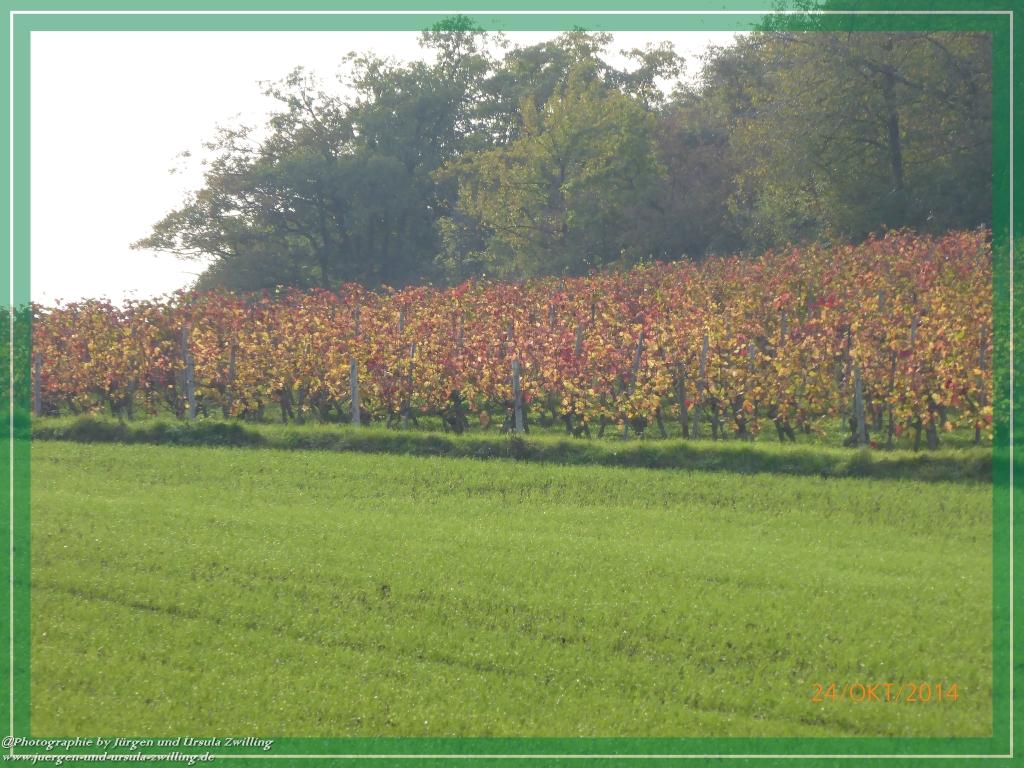 Philosophische Bildwanderung Hiwweltour-Eichelberg