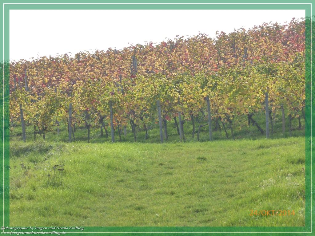 Philosophische Bildwanderung Hiwweltour-Eichelberg