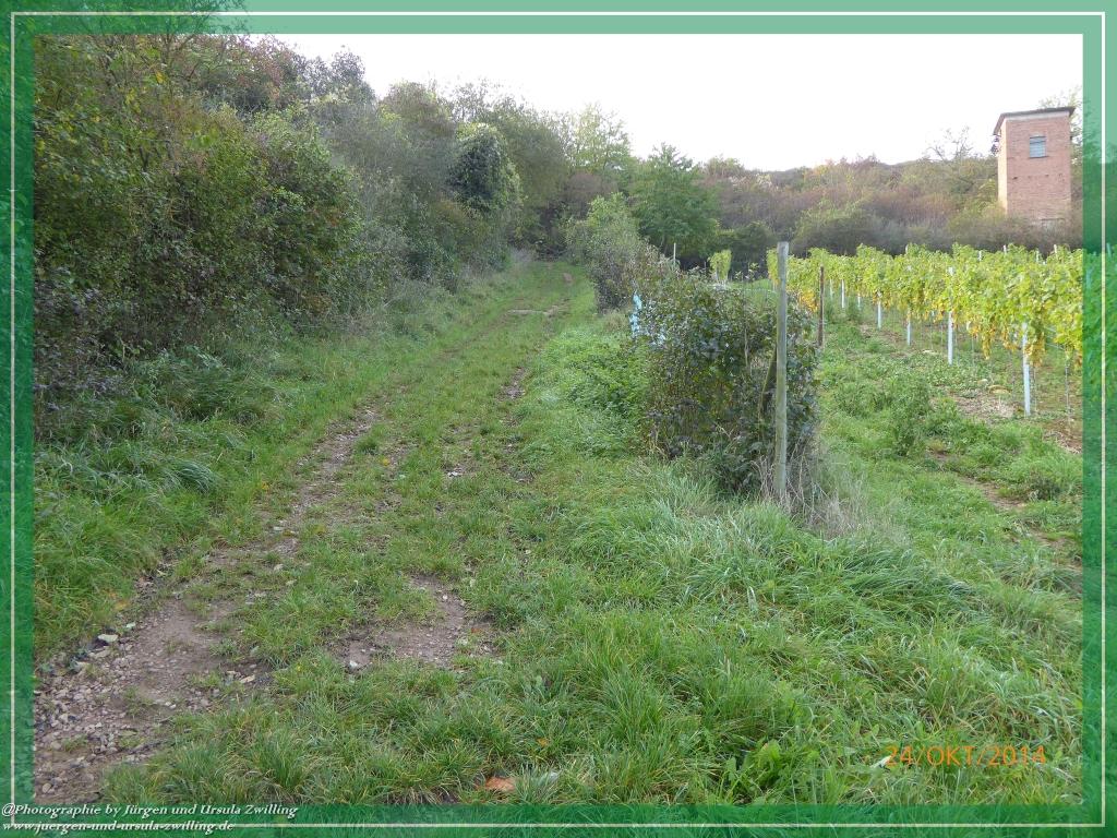 Philosophische Bildwanderung Hiwweltour-Eichelberg