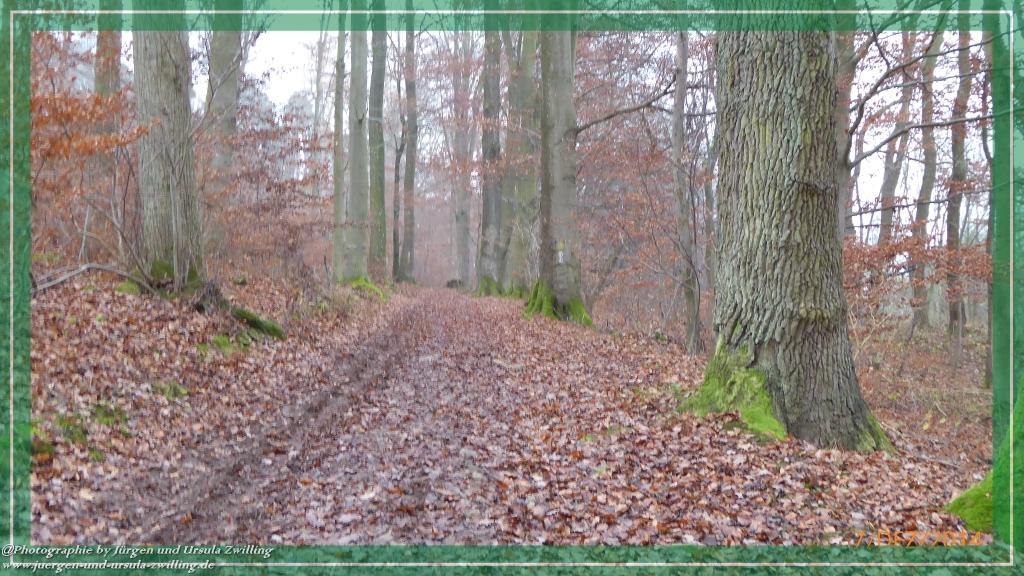 Philosophische Bildwanderung Panoramaweg Erbach - Michelstadt - Grafenschloss,Fachwerk und Panorama - Odenwald
