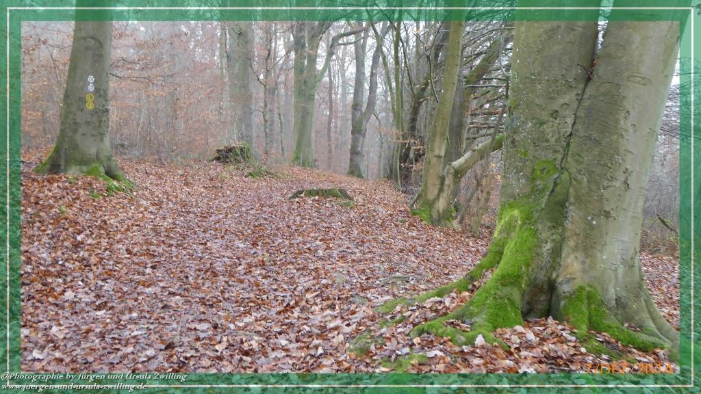 Philosophische Bildwanderung Panoramaweg Erbach - Michelstadt - Grafenschloss,Fachwerk und Panorama - Odenwald