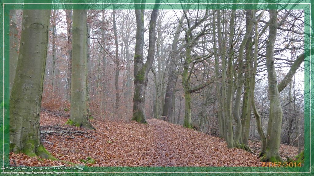 Philosophische Bildwanderung Panoramaweg Erbach - Michelstadt - Grafenschloss,Fachwerk und Panorama - Odenwald