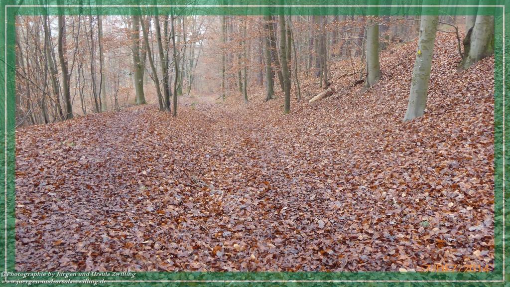 Philosophische Bildwanderung Panoramaweg Erbach - Michelstadt - Grafenschloss,Fachwerk und Panorama - Odenwald