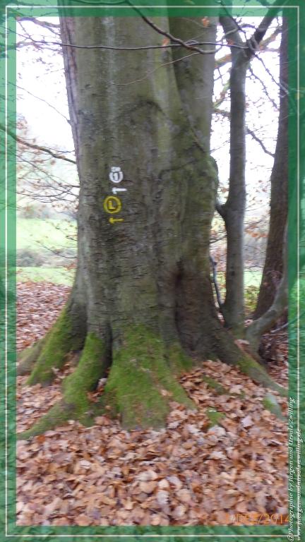 Philosophische Bildwanderung Panoramaweg Erbach - Michelstadt - Grafenschloss,Fachwerk und Panorama - Odenwald