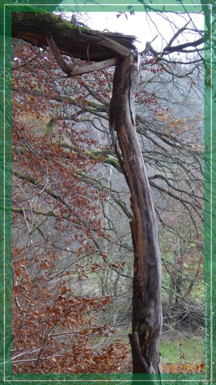 Philosophische Bildwanderung Panoramaweg Erbach - Michelstadt - Grafenschloss,Fachwerk und Panorama - Odenwald