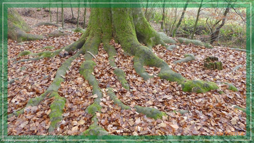 Philosophische Bildwanderung Panoramaweg Erbach - Michelstadt - Grafenschloss,Fachwerk und Panorama - Odenwald