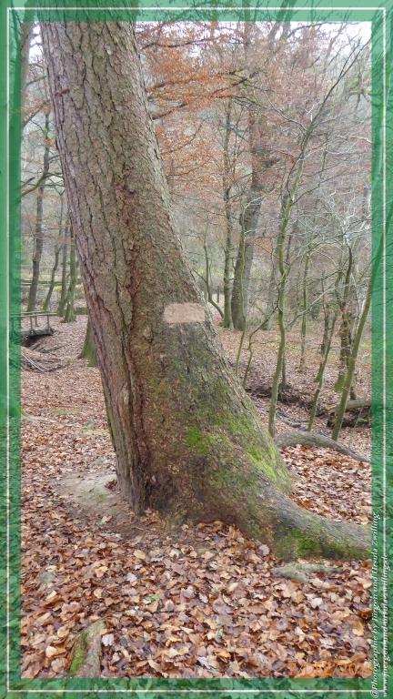 Philosophische Bildwanderung Panoramaweg Erbach - Michelstadt - Grafenschloss,Fachwerk und Panorama - Odenwald