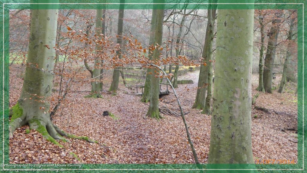 Philosophische Bildwanderung Panoramaweg Erbach - Michelstadt - Grafenschloss,Fachwerk und Panorama - Odenwald