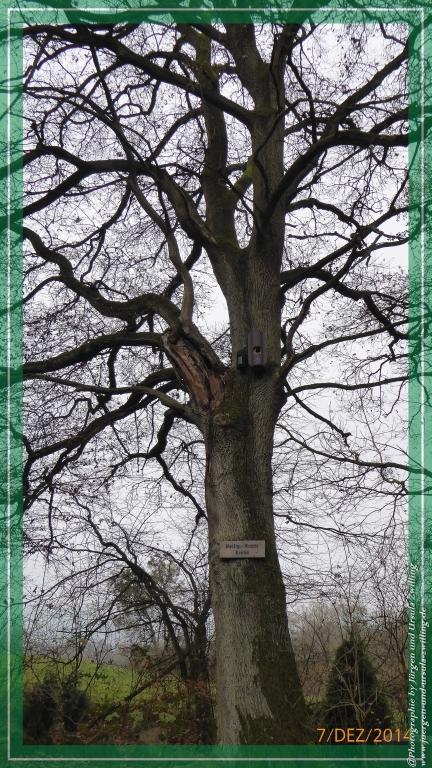 Philosophische Bildwanderung Panoramaweg Erbach - Michelstadt - Grafenschloss,Fachwerk und Panorama - Odenwald