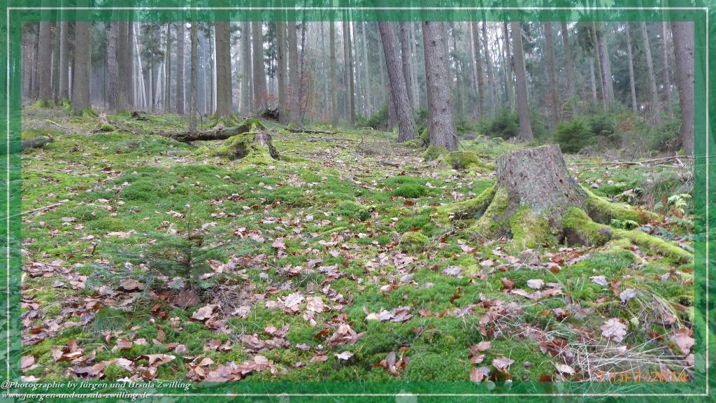 Philosophische Bildwanderung Panoramaweg Erbach - Michelstadt - Grafenschloss,Fachwerk und Panorama - Odenwald