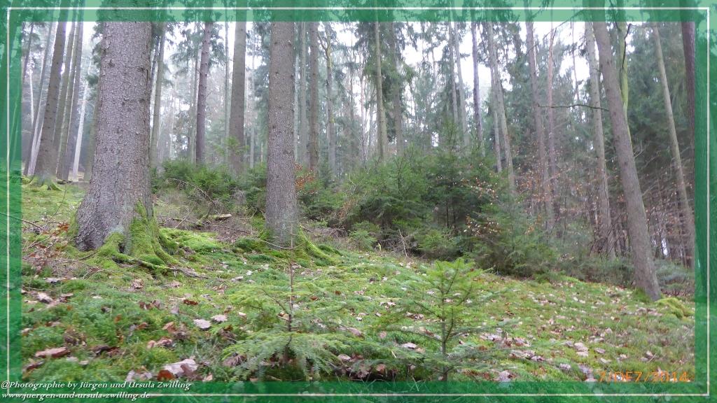 Philosophische Bildwanderung Panoramaweg Erbach - Michelstadt - Grafenschloss,Fachwerk und Panorama - Odenwald