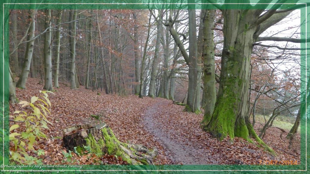 Philosophische Bildwanderung Panoramaweg Erbach - Michelstadt - Grafenschloss,Fachwerk und Panorama - Odenwald