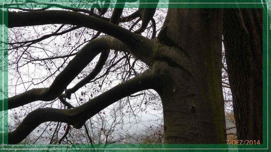 Philosophische Bildwanderung Panoramaweg Erbach - Michelstadt - Grafenschloss,Fachwerk und Panorama - Odenwald